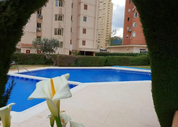 En El Cielo De - Alteanos V * Benidorm